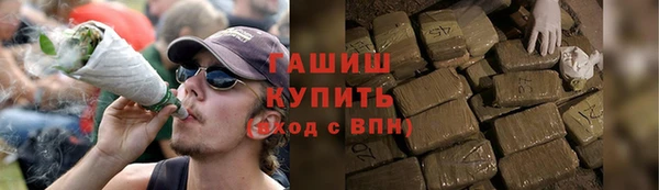 крисы Армянск
